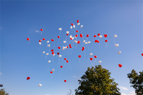 rote und weiße Herzluftballons
